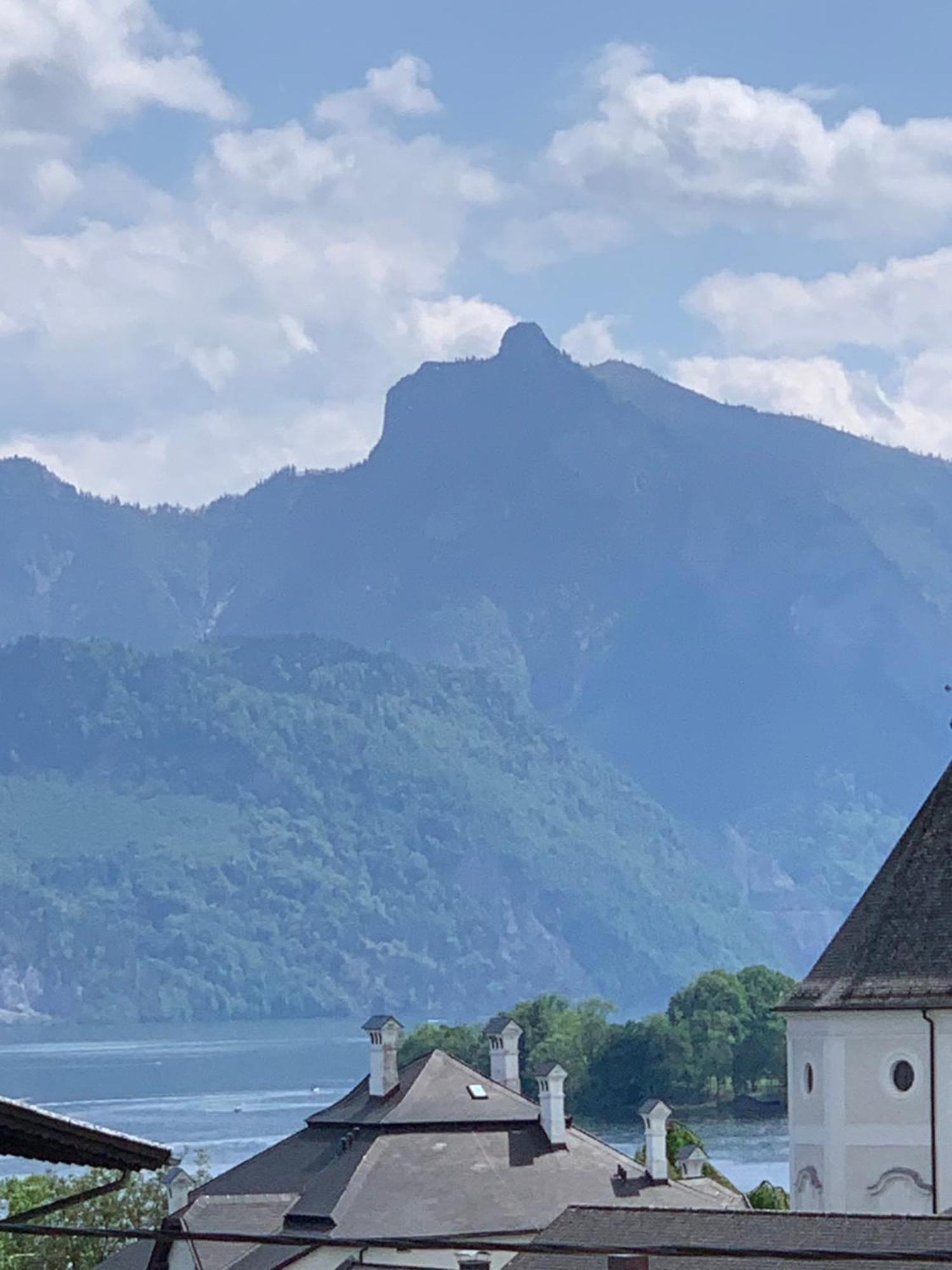 Traum Panorama Apartment Mit Berg & Seeblick Altmünster Dış mekan fotoğraf